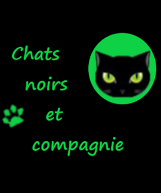 avatar chats noirs et compagnie