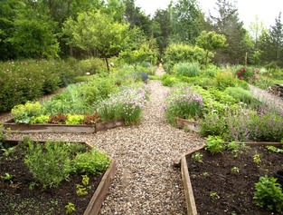 Création de carrés aromatiques partagés au Jardin public