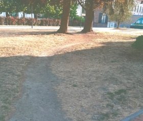 Création d'allée