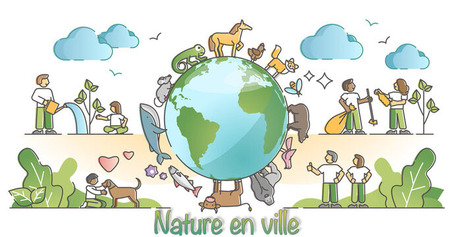 Harmoniser notre enrironnement urbain et la faune sauvage