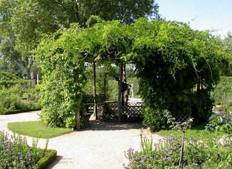 Une pergola végétalisée au Parc Danel