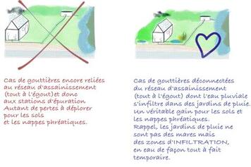 Le projet de jardin de pluie participatif d'Ennequin