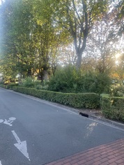 Création de jardins de pluie ou de noues paysagées dans le parc place Jean Jaurès pour récupérer les eaux pluviales de la chaussée 